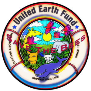 uef.logo